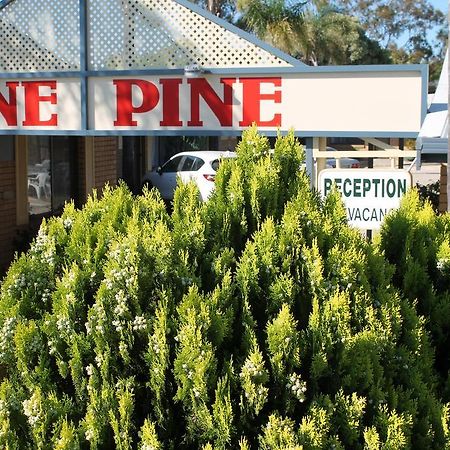Lone Pine Motel Корова Екстериор снимка