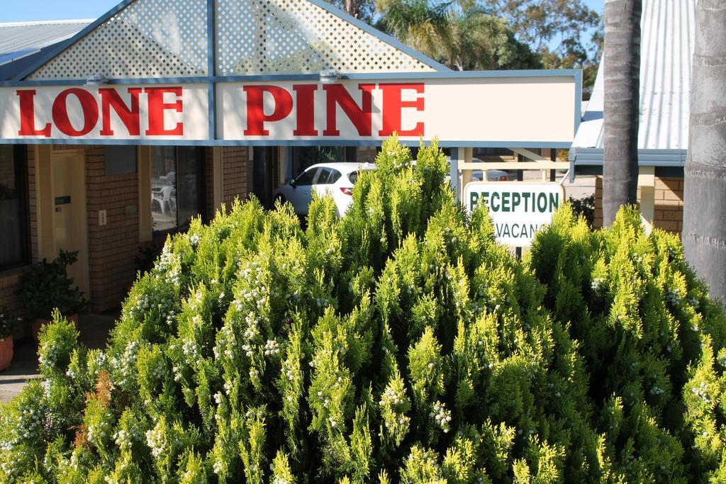 Lone Pine Motel Корова Екстериор снимка