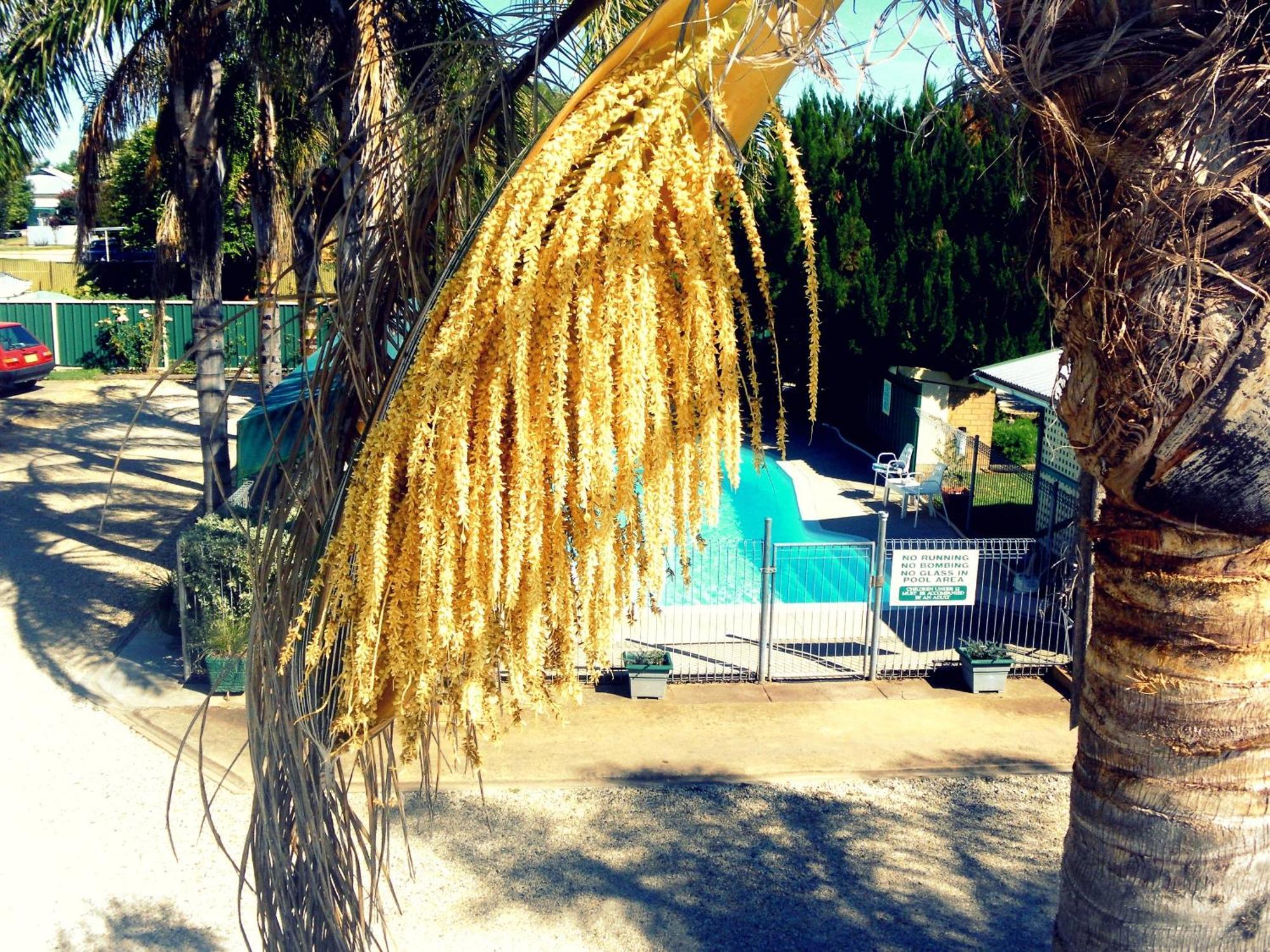 Lone Pine Motel Корова Екстериор снимка